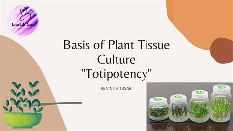 Totipotency of plant cell | # 1 Plant Tissue Culture - YouTube