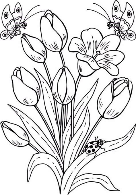 10.Gambar Mewarnai Bunga Tulip - Pintar Mewarnai