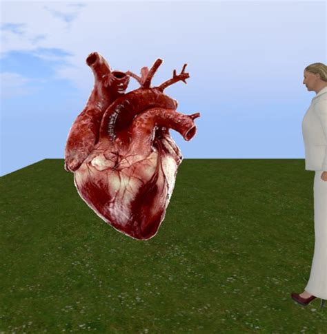 Second Life Marketplace - real beating heart animated gif