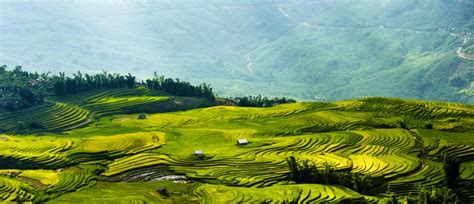 The Ultimate Vietnam Tour: An In Depth Cultural Journey | Zicasso