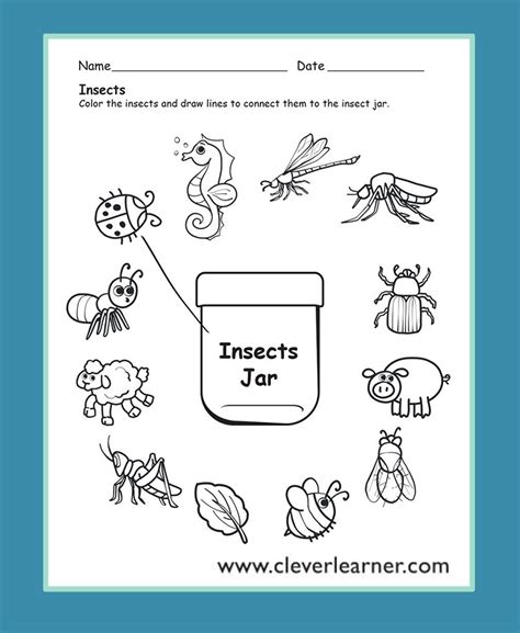 Science Worksheets For Kindergarten - Kindergarten