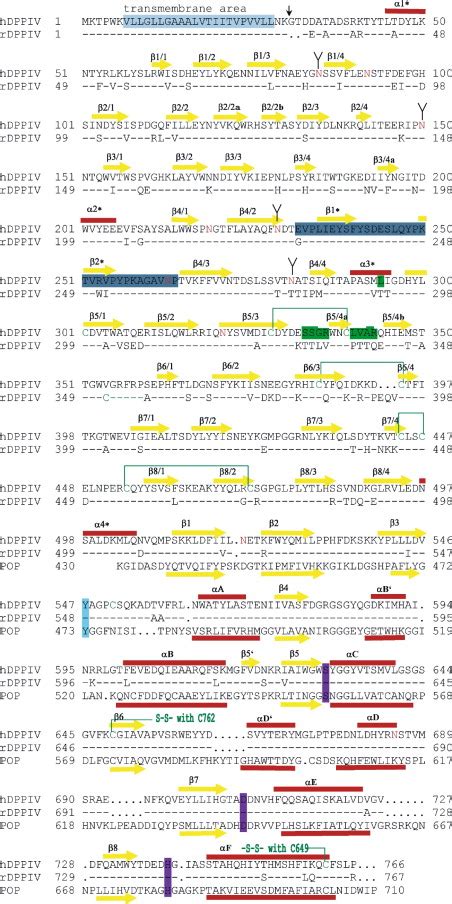 Structural Basis of Proline-Specific Exopeptidase Activity as Observed ...