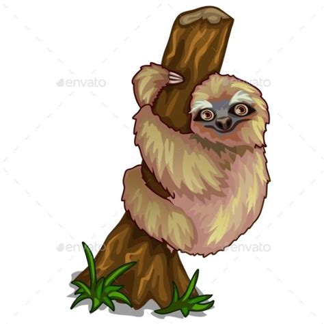 Sloth Clinging to the Trunk of Tree | Cartoon character design, Sloth, Animal illustration