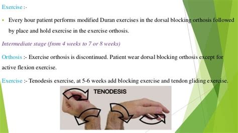 Hand rehabilitation following flexor tendon injuries