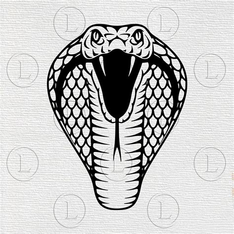 Cobra SVG-Snake vector graphics-Cobra tekening SVG-Cobra Snake Reptilia silhouet-Cobra ...