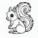 Squirrel Coloring Cute Clipart Kids Pages Clip Copy Clipground Squirel  sketch template