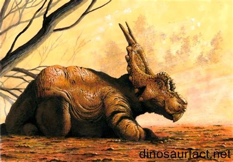 Achelousaurus Pictures & Facts - The Dinosaur Database