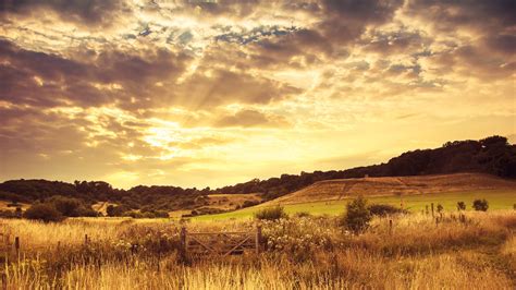 Golden sunset in the countryside [Wallpaper] | dotTech