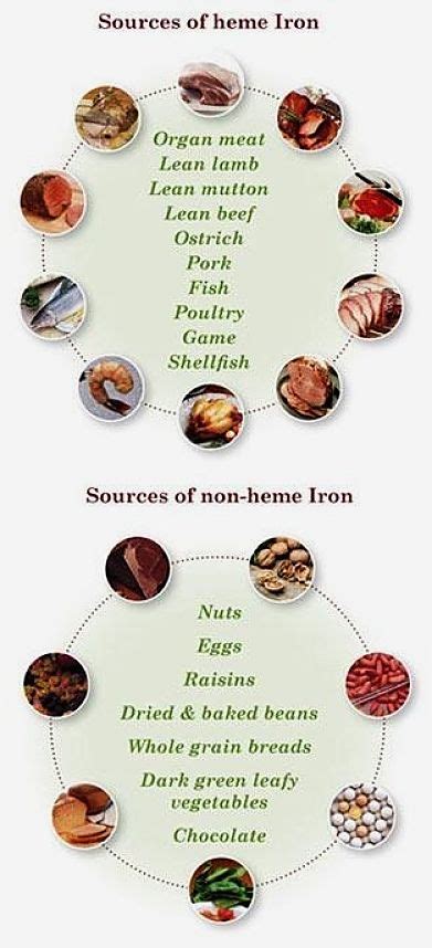 Symptoms of Iron Deficiency, Overload, Heme and Non Heme Iron Foods