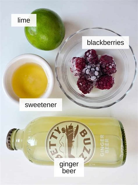 Blackberry Ginger Beer Mocktail (4 Ingredients) | Low Histamine Eats