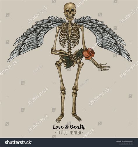 Top 69+ skeleton wings tattoo - in.coedo.com.vn