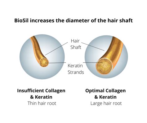 BioSil™ Choline-Stabilized Orthosilicic Acid® Hair • Skin • Nails Liqu – Healthtree