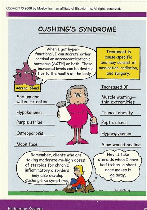 All Symptoms of Cushing's Disease | Cushing's Syndrome graphic of ...