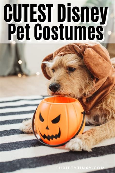 Disney Pet Costumes for Cats and Dogs - Oh, So Cute! - Thrifty Jinxy