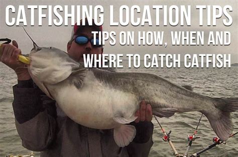 Catfishing Tips: The Ultimate List Of Catfishing Tips