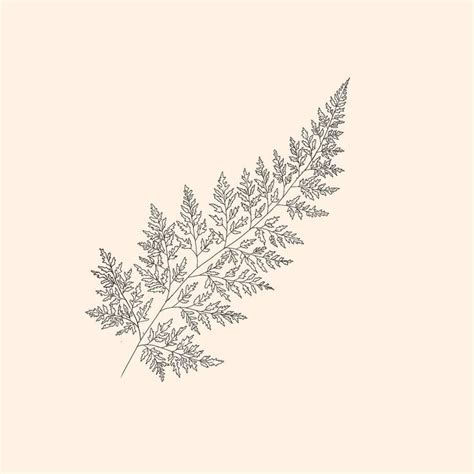 Fine Line Minimalist Fern Tattoo Design | Fern tattoo, Fine line ...