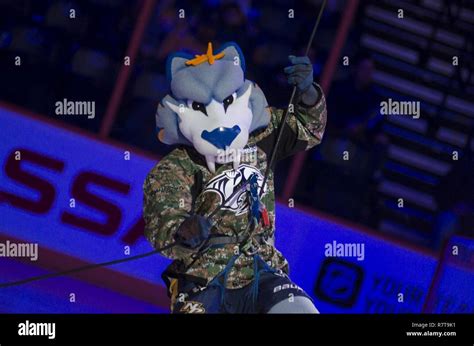 Wearing a camouflage shirt, GNASH, the Nashville Predators mascot ...