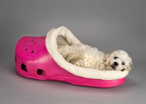 The Croc Bed | Stylish dog beds, Cute dog beds, Designer dog beds