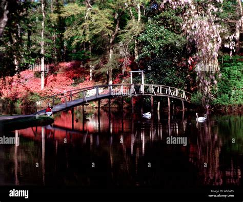 Middleton Place Gardens near Charleston in South Carolina with Spring ...