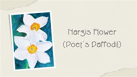 Watercolor Illustration │Nargis flower │Poet's Daffodil - YouTube