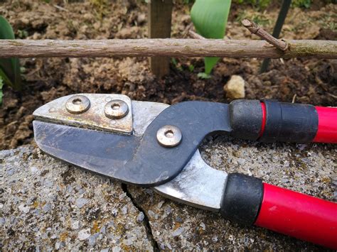 Top 7 Must-Have Garden Tools