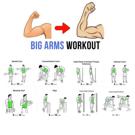 Big Arms Workout | Big arm workout, Arm workout, Step workout