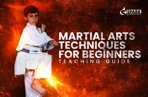 Martial Arts Techniques for Beginners: Teaching Guide - Spark ...