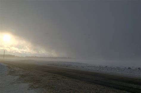 A Passing Snow Squall | Downeast Thunder Farm