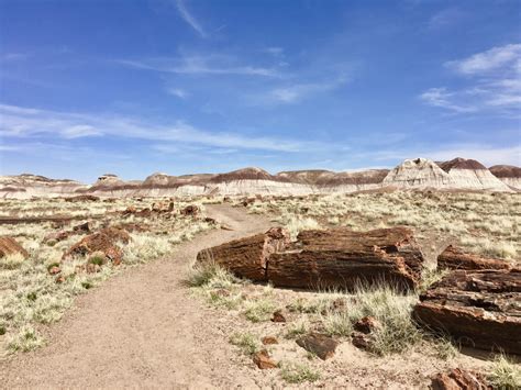 Visiting Petrified Forest National Park - Restless Curiosity