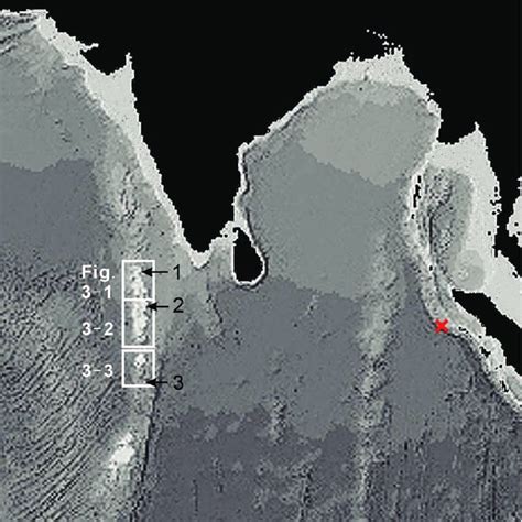 (PDF) The 2004 Indian Ocean tsunami in the Maldives: Scale of the disaster and topographic ...