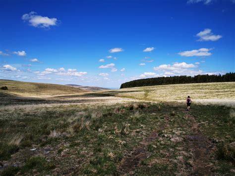 Dartmoor Hiking Trails: Postbridge to Fernworthy Reservoir - Passport for Living