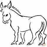 Balaams Donkey Colouring Pages Page 2 Sketch Coloring sketch template