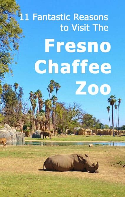 10 Fantastic Reasons to Visit the Fresno Chaffee Zoo