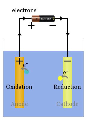 Cathode and anode - milovids