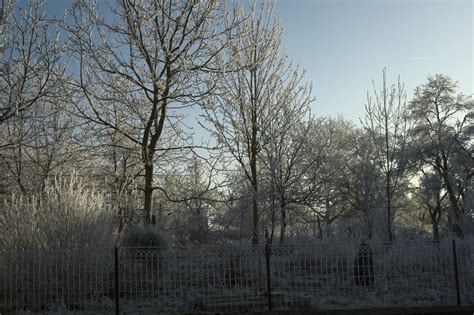 Buschtrommel | Winter 2007