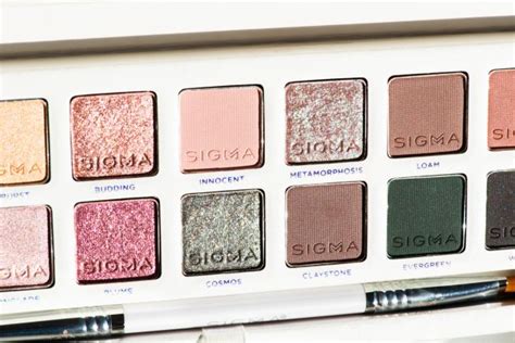 Sigma Beauty Enchanted Eyeshadow Palette Review - Sun Kissed Blush