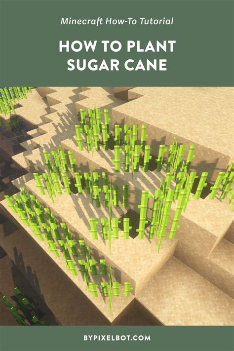 Minecraft: How to Plant Sugar Cane — ByPixelbot