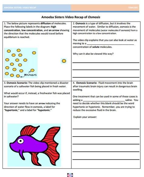 Amoeba Sisters Speciation Worksheet