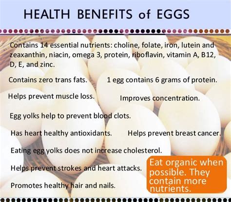 Health Benefits Of Eating Eggs – Style.Pk