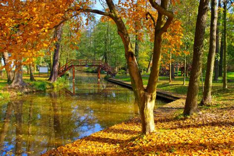 Spreewald - Bilder und Stockfotos - iStock