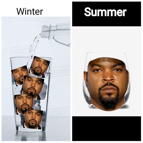 Ice Cube : r/memes