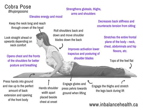 Cobra Pose Handout - In Balance Health