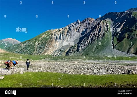 Trekking through the beautiful lush Warwan Valley, Pir Panjal Range, Kashmir, India Stock Photo ...