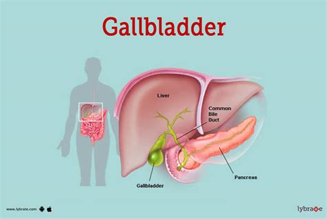 Gallbladder Pain Location Diagram