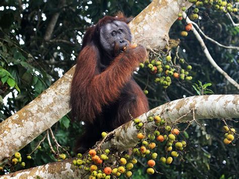 Photo of the day - National Geographic Channel - Asia