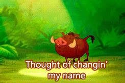 Timon And Pumbaa Quotes. QuotesGram