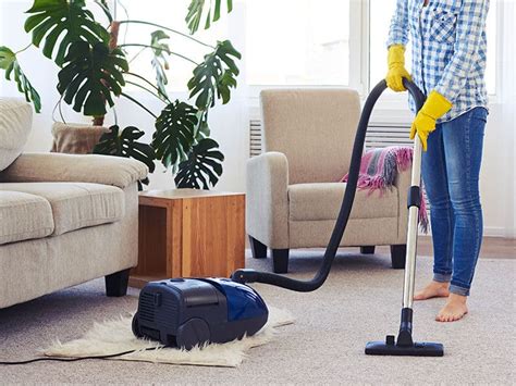 12 Best Quiet Vacuum Cleaners Reviews 2024 (Recommended)