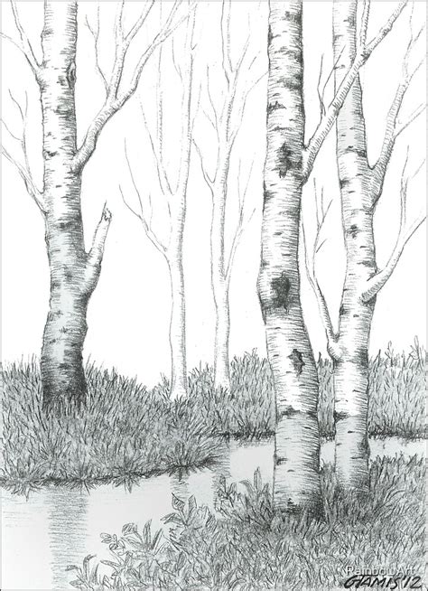 "BIRCH TREE 02" by RainbowArt | Redbubble