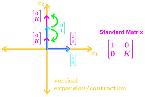 The matrix of a linear transformation | StudyPug