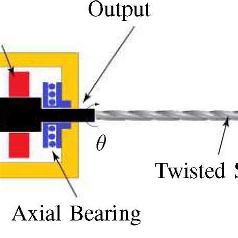 Schematic representation of the TSA structure. | Download Scientific Diagram